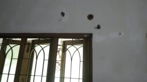 House of Mr.Anandasubramanian - Anna Nagar